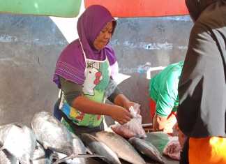Pedagang Ikan Cemas, Pasar Sunyi dan Pendapatan Kian Menurun