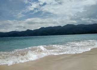 Keelokkan Sisi Pantai Malaumkarta, Makbon Sorong