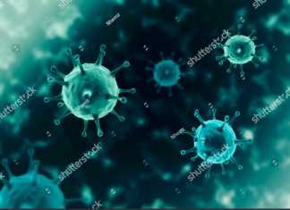 Covid-19, Ujian atau Hukuman